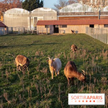 Fermes de Gally - Saint Denis - 121E8A17 ECDB 4F1B 90A8 CF8CA8E2C832