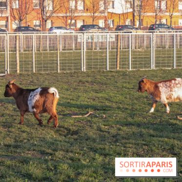 Fermes de Gally - Saint Denis - 85C3BDAD BB0B 44C8 8936 D4F8178C2E94