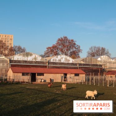 Fermes de Gally - Saint Denis - D552C605 417B 4032 A534 023325AFA580