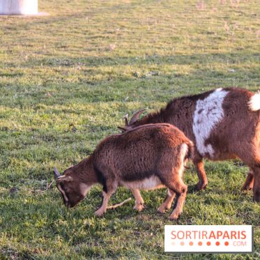 Fermes de Gally - Saint Denis - F4A6D9E0 2845 45F1 A095 C1A59C998B49