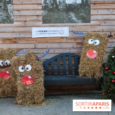 Fermes de Gally - Saint Denis - EFD0DDCE 5013 49EA 88FA B56CDA1F6CEE