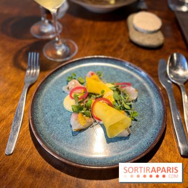 Perception - Sashimi daurade et tarama