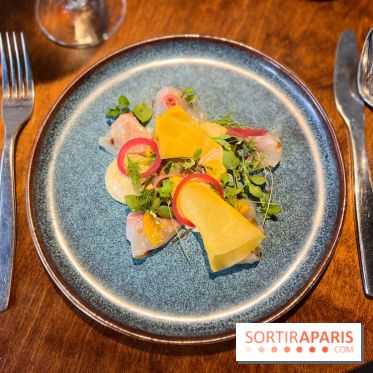 Perception - Sashimi daurade et tarama