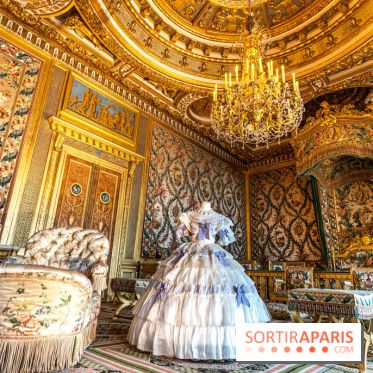 Château de Fontainebleau - Napoléon III et Eugénie -  A7C4100