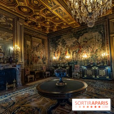 Château de Fontainebleau - Napoléon III et Eugénie -  A7C4059