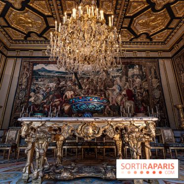 Château de Fontainebleau - Napoléon III et Eugénie -  A7C3910