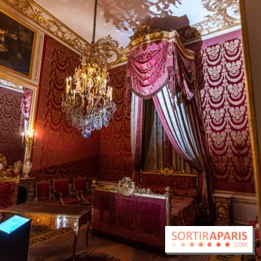 Château de Fontainebleau - Napoléon III et Eugénie -  A7C3885