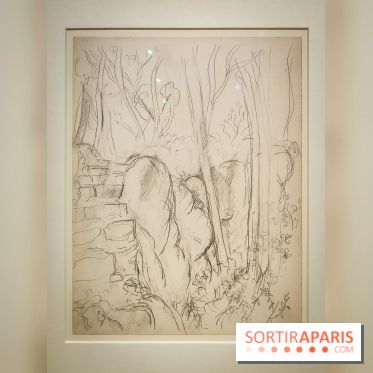 Matisse au musée de l'Orangerie : une exposition focus sur les années 1930 du peintre - nos photos - IMG20230301155735