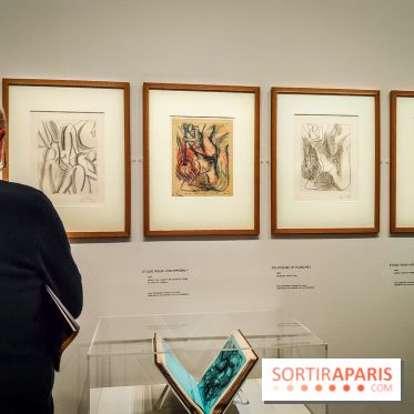 Matisse au musée de l'Orangerie : une exposition focus sur les années 1930 du peintre - nos photos - IMG20230301155657