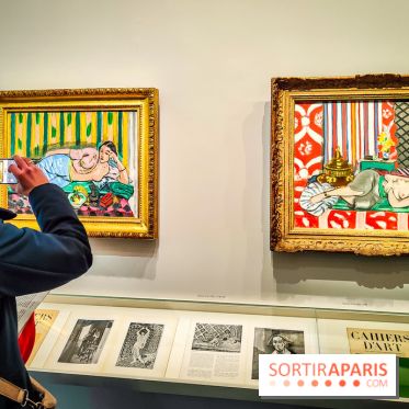 Matisse au musée de l'Orangerie : une exposition focus sur les années 1930 du peintre - nos photos - IMG20230301155211