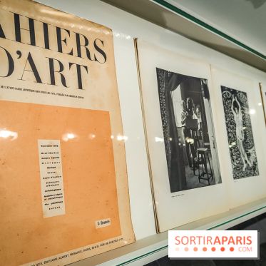 Matisse au musée de l'Orangerie : une exposition focus sur les années 1930 du peintre - nos photos - IMG20230301160553