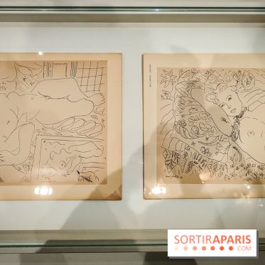 Matisse au musée de l'Orangerie : une exposition focus sur les années 1930 du peintre - nos photos - IMG20230301155807