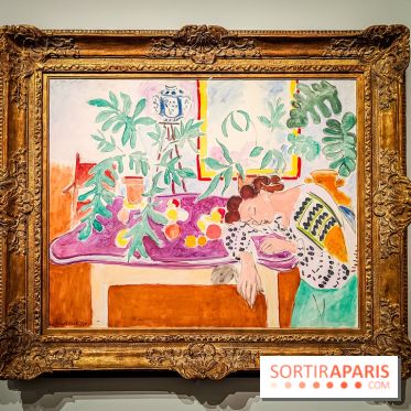 Matisse au musée de l'Orangerie : une exposition focus sur les années 1930 du peintre - nos photos - IMG20230301160244