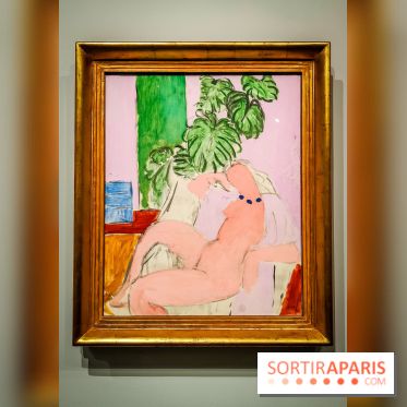 Matisse au musée de l'Orangerie : une exposition focus sur les années 1930 du peintre - nos photos - IMG20230301160350