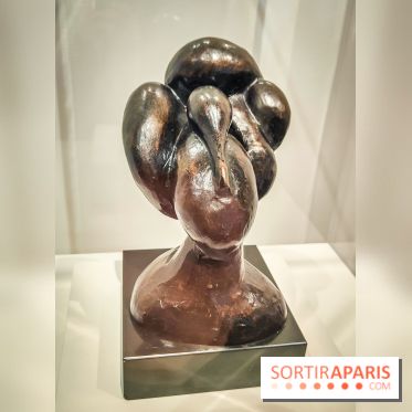 Matisse au musée de l'Orangerie : une exposition focus sur les années 1930 du peintre - nos photos - IMG20230301155415