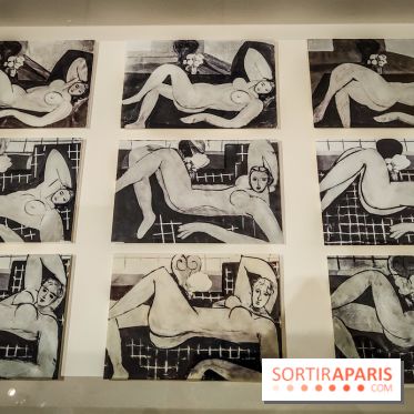 Matisse au musée de l'Orangerie : une exposition focus sur les années 1930 du peintre - nos photos - IMG20230301155827