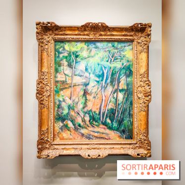 Musée de l'Orangerie - Cézanne