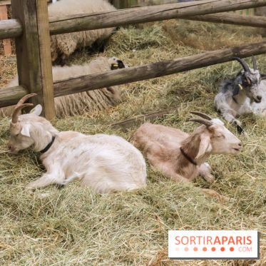 Salon de l'agriculture 2023