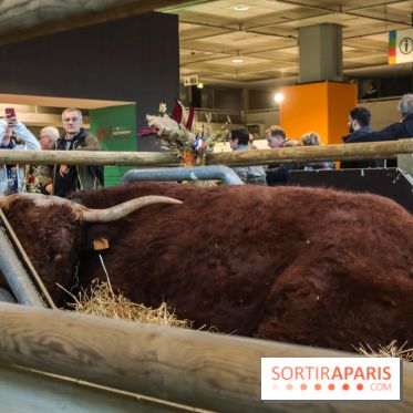 Salon de l'agriculture 2023