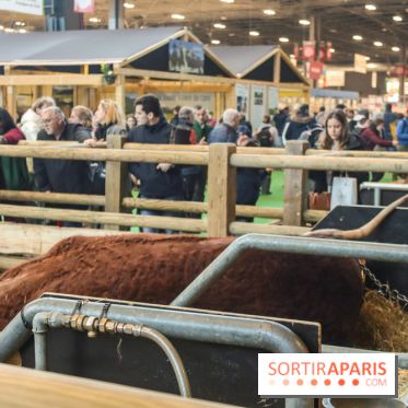 Salon de l'agriculture 2023