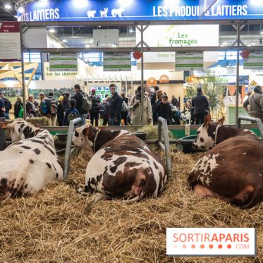 Salon de l'agriculture 2023