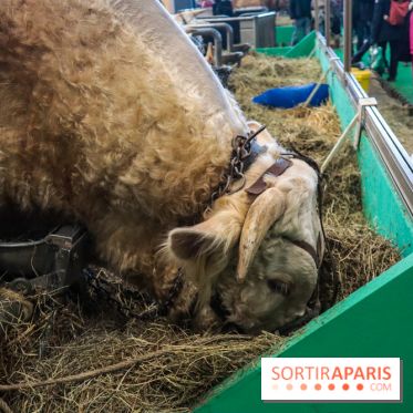 Salon de l'agriculture 2023