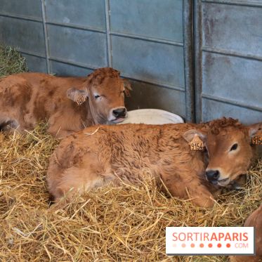 Salon de l'agriculture 2023 - 20230227161320 IMG 3955 (1)