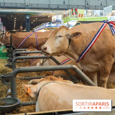 Salon de l'agriculture 2023