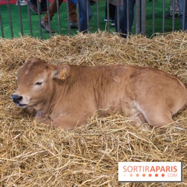 Salon de l'agriculture 2023