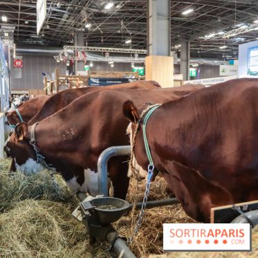 Salon de l'agriculture 2023