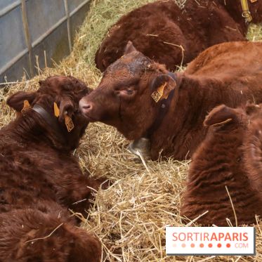 Salon de l'agriculture 2023