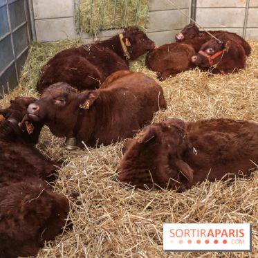 Salon de l'agriculture 2023
