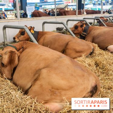 Salon de l'agriculture 2023