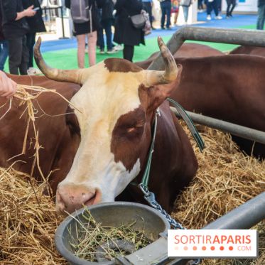 Salon de l'agriculture 2023