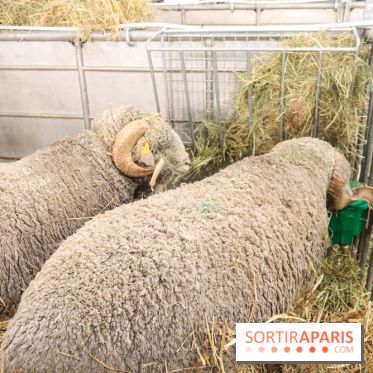 Salon de l'agriculture 2023