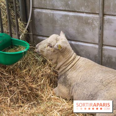 Salon de l'agriculture 2023