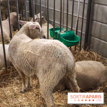 Salon de l'agriculture 2023
