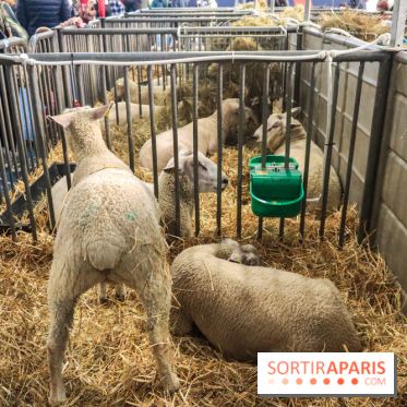 Salon de l'agriculture 2023