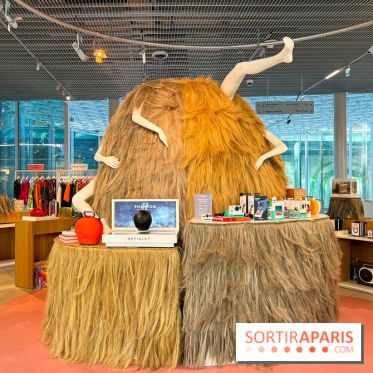 Paris à Poil(s) à la Samaritaine - image00012