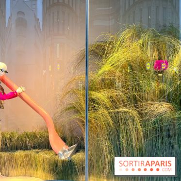 Paris à Poil(s) à la Samaritaine - image00007