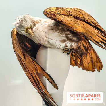 1997 Fashion Big Bang : l'exposition détonante du Palais Galliera - IMG20230303102448