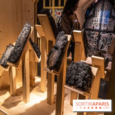 Exposition Notre-Dame de Paris : au cœur du chantier -  A7C4628