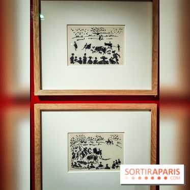 Célébration Picasso, l'exposition anniversaire colorée au musée Picasso Paris - nos photos - IMG20230306173714