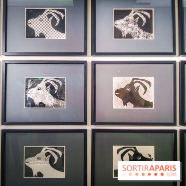 Célébration Picasso, l'exposition anniversaire colorée au musée Picasso Paris - nos photos - IMG20230306174112