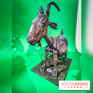 Célébration Picasso, l'exposition anniversaire colorée au musée Picasso Paris - nos photos - IMG20230306174043