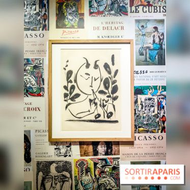 Célébration Picasso, l'exposition anniversaire colorée au musée Picasso Paris - nos photos - IMG20230306175907