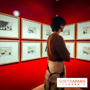 Célébration Picasso, l'exposition anniversaire colorée au musée Picasso Paris - nos photos - IMG20230306173702