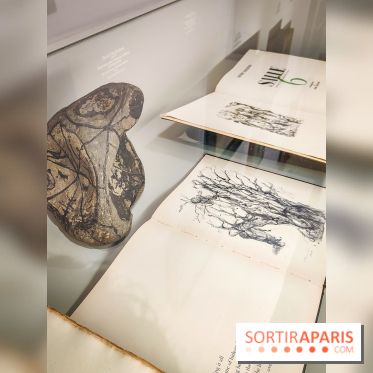 Néo-romantiques, l'exposition de peinture du musée Marmottan Monet - nos photos - IMG20230310112419