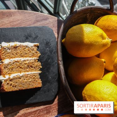 Treize au jardin - 20230302144833 IMG 4056