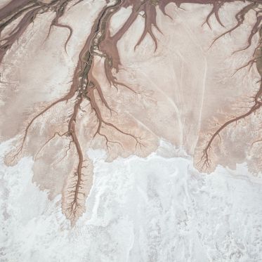 Trouble, l'exposition intriguante au Patronage Laïque Jules Vallès ! - VOGEL Franck video tree of life